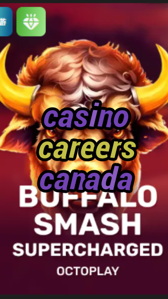 casino careers canada-w4cy2mdjlx2bf.com